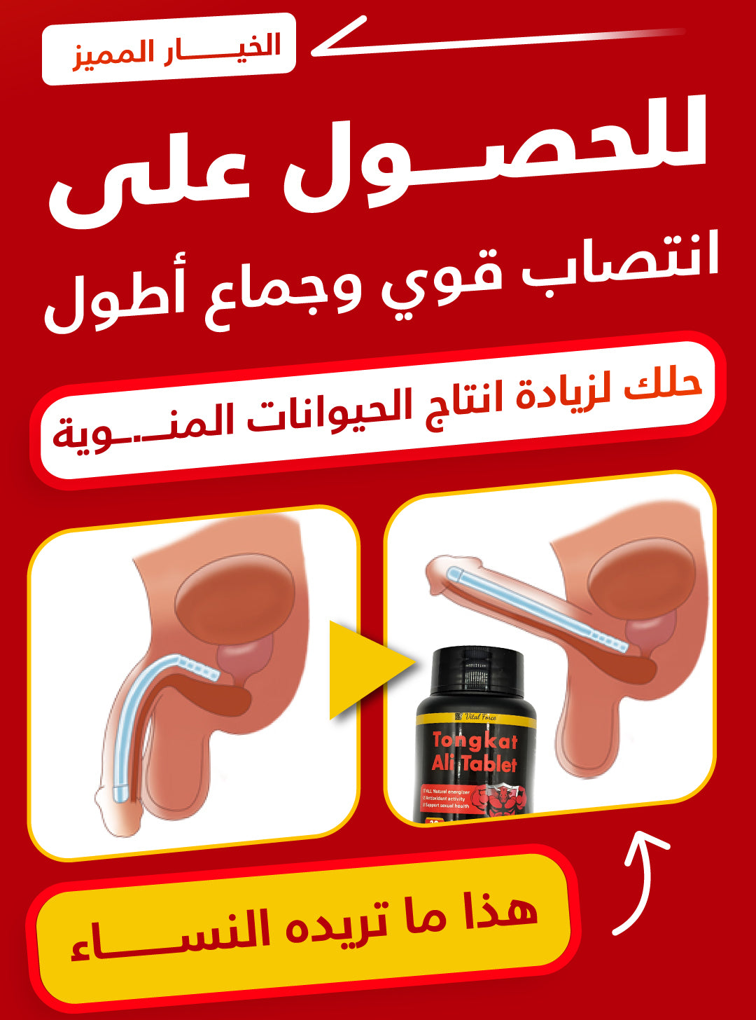 Tongkat Ali (تونغكات علي) MDM